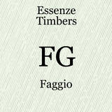 Fg_faggio